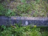 image of grave number 856445